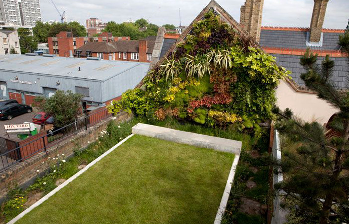 urban city rooftop garden