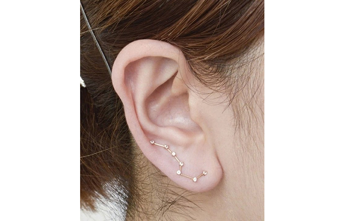 Cool Ear Piercings 1