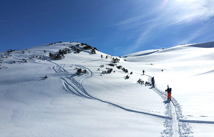 Chicky Clinics Backcountry Skiing