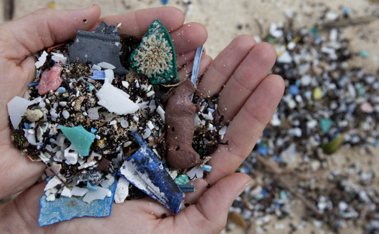 Microplastics Pollution Ocean