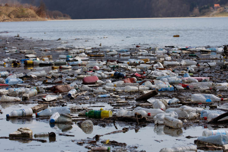 Plastic Pollution Ocean Beach