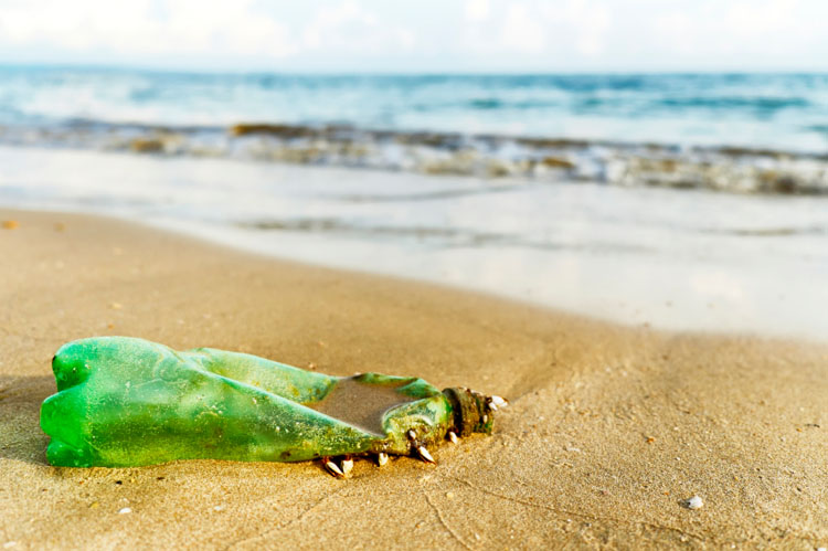 Plastic Water Bottle Ocean Beach Waste