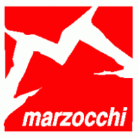 marzocchi super monster 300mm travel fork