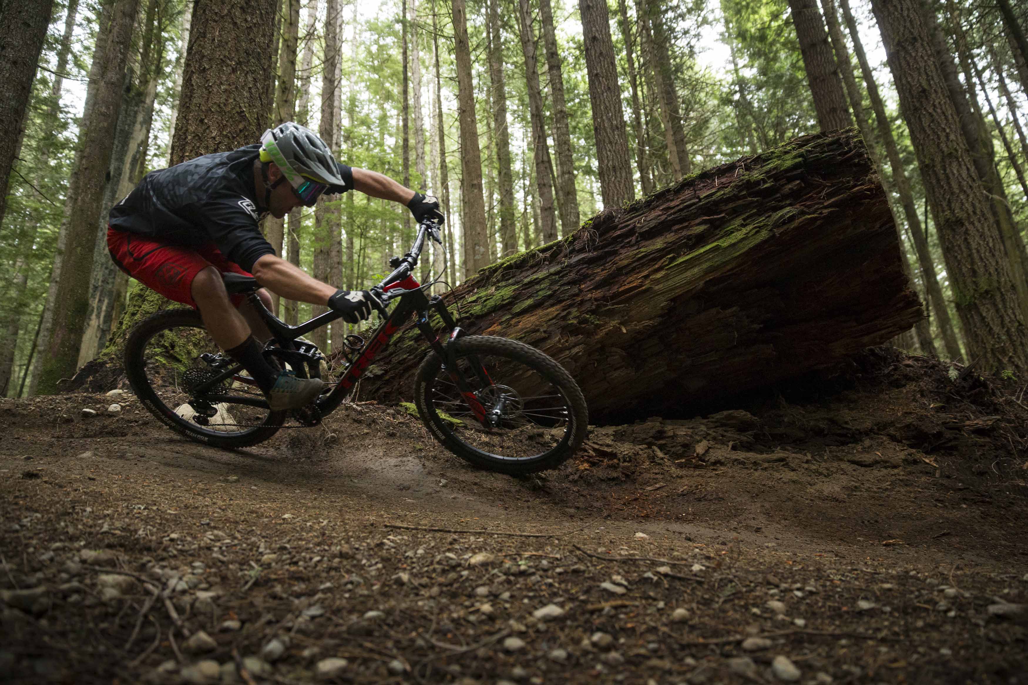 2017 trek remedy 9