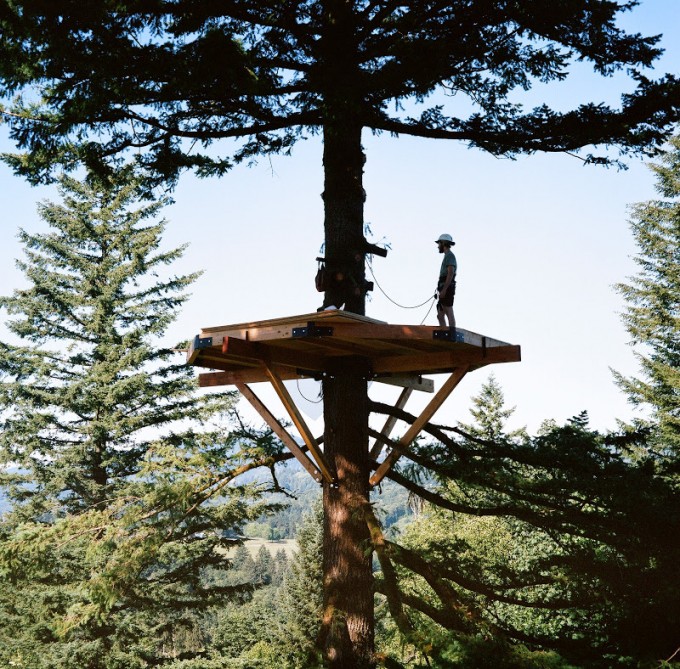 Foster Huntington Interview: Building a Dream Treeho Foster Huntington Interview: Building a Dream Treeho