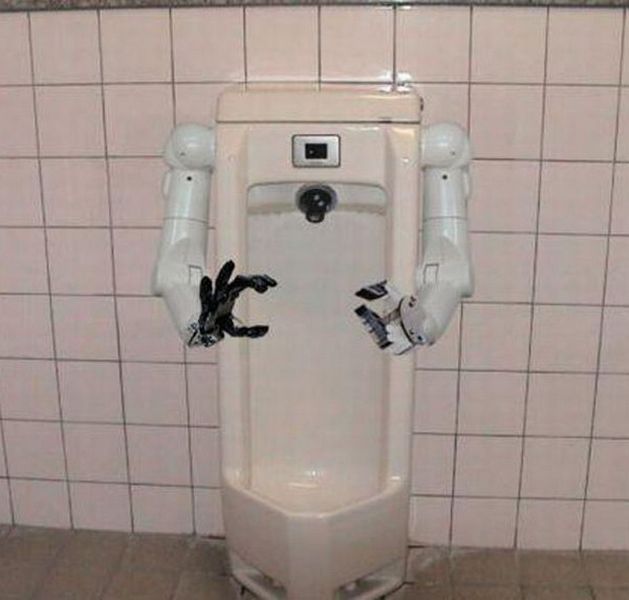 The-Helpful -Toilet-Robot-Strange