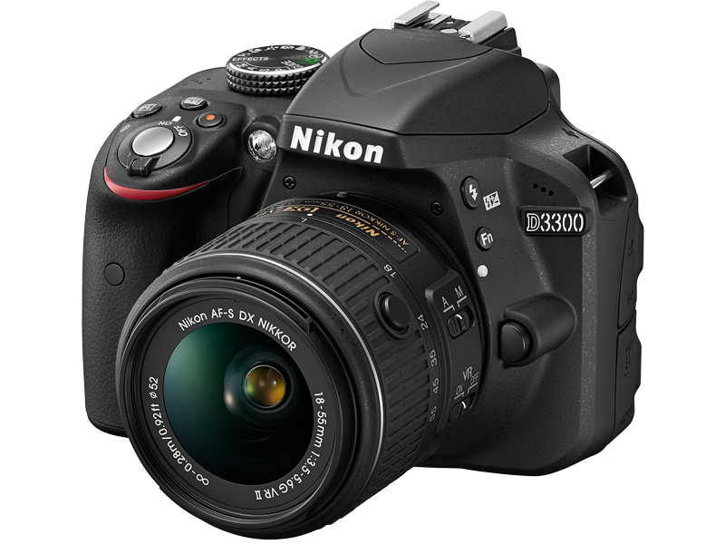 Best Cameras for Travelling NIKON D3300 Review and Tips