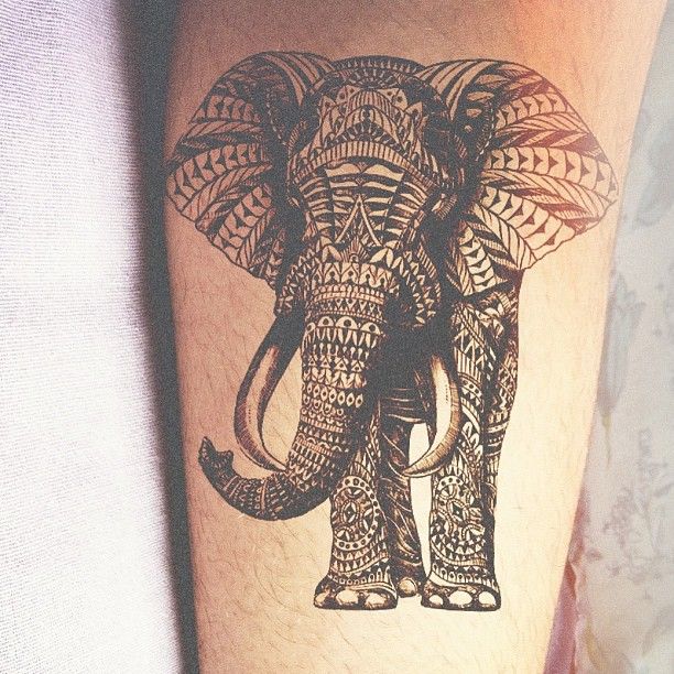 20 powerful elephant tattoos for men