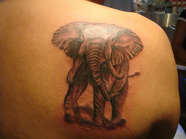 61 Cool and Creative Elephant Tattoo Ideas - StayGlam