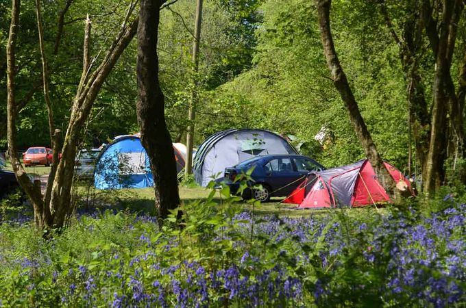 Cool Camping Best Place Camping UK Kingsmead Centre Devon England