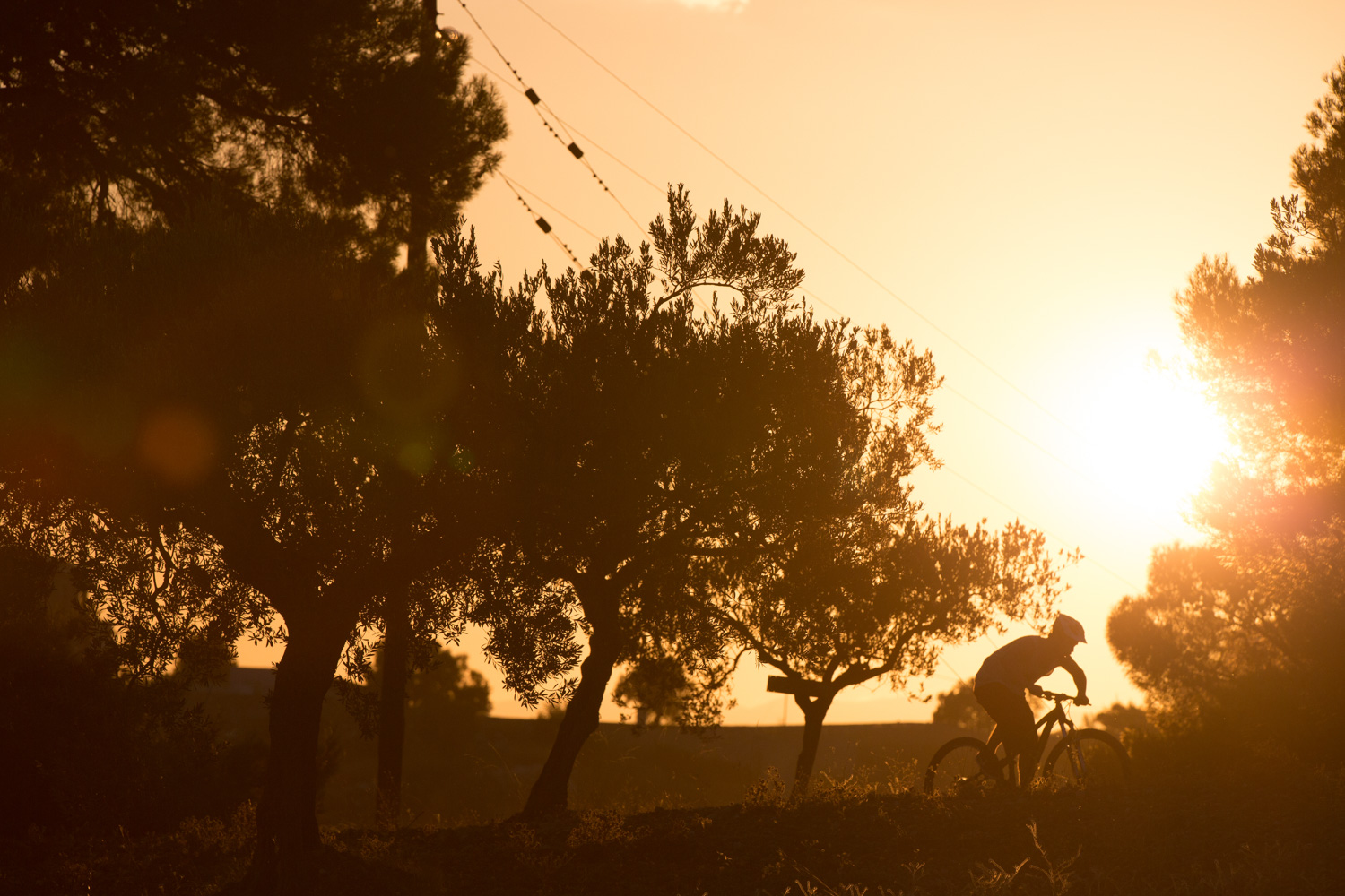 Mountain Biking in Greece Cal JelleyGreeceMpora-5923