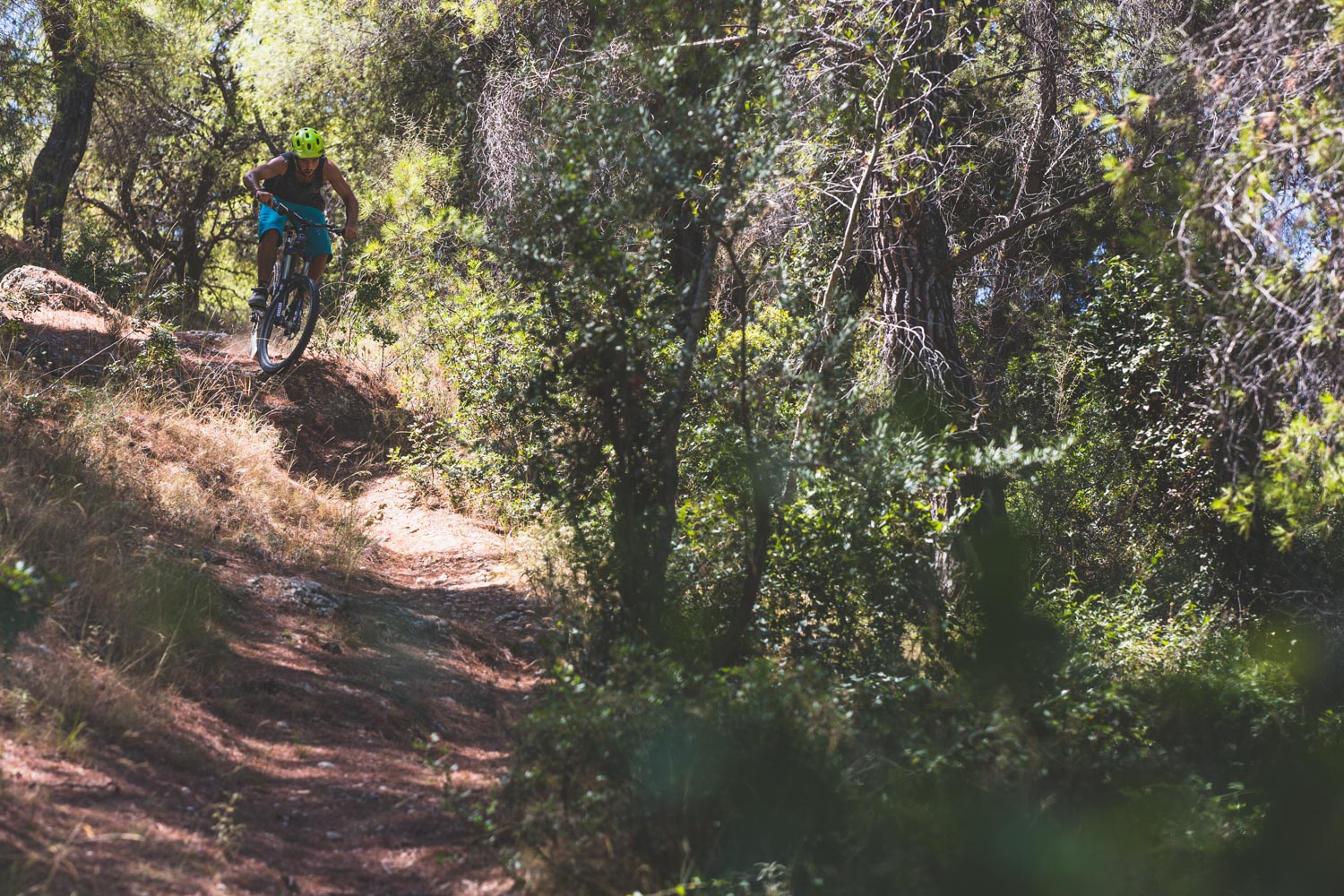 Mountain Biking in Greece Cal JelleyGreeceMpora-6111