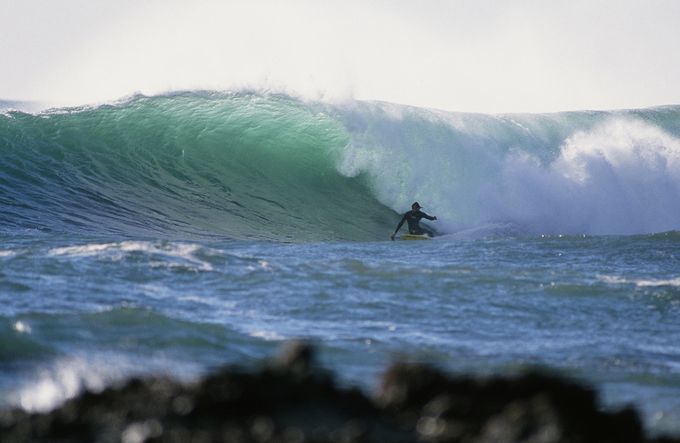 Wayne Lynch in Victoria, Tasmania and South Australia