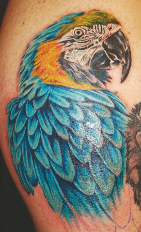 Pin by Jeanpi Lara on fotos | Parrot tattoo, Cool tattoos, Tattoos
