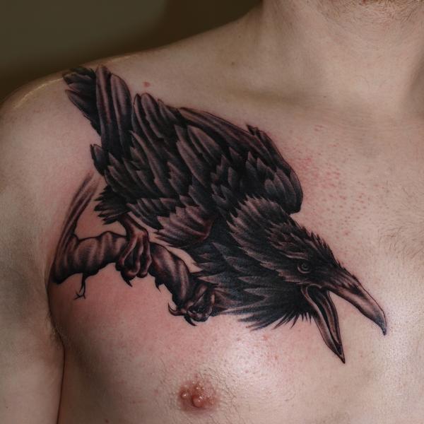 Colored Bird Tattoo On Shoulder - Tattoos Designs