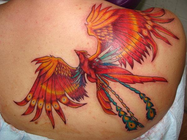 Tattoo uploaded by rcallejatattoo • Rad looking bird tattoos on the upper  back done by Katie McGowan. #katiemcgowan #blackcobratattoo #coloredtattoo  #neotraditional #birds #flowers • Tattoodo