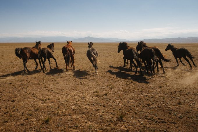 Kazakhstan-Mountain-Bike-2015-Dan-Medhurst-0918