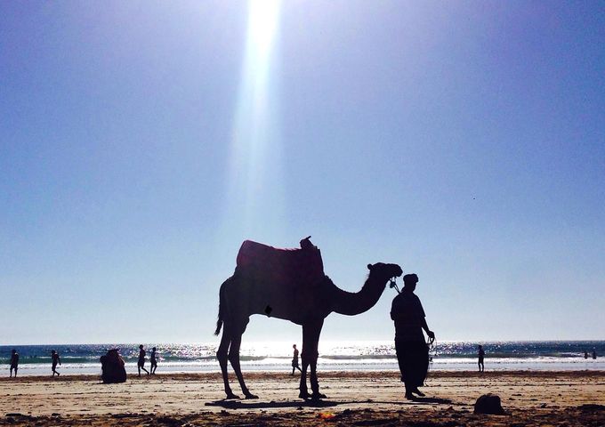 Shiraz Ksaiba Surf Camp Morocco 1