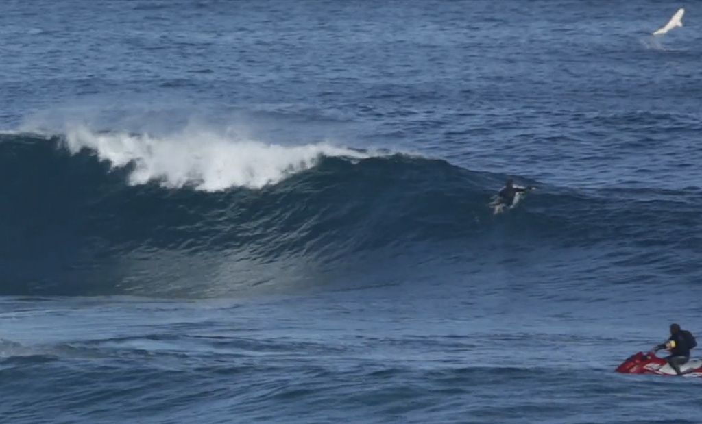 Kelly Slater shark surfing in South africa