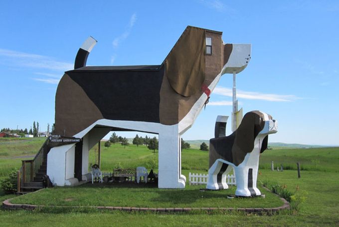 Crazy Hotel Dog Shaped Beagle