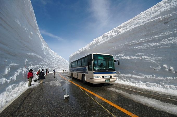 Gassan Japan Snow Powder Skiing I Love To Ski And Snowboard