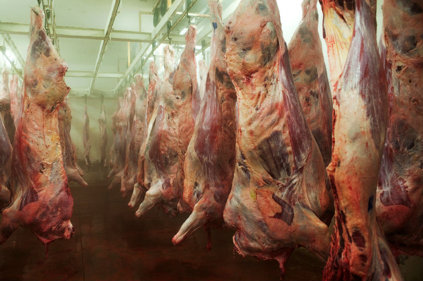 Do You Know Where Your Meat Comes From? You May Find