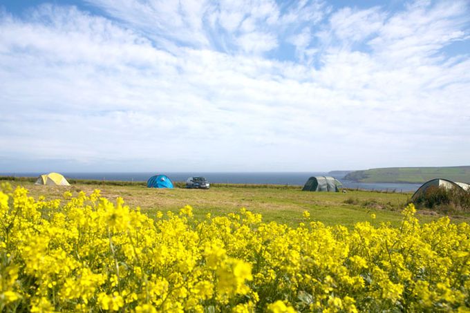 Wheems Organic Farm Orkney Islands Scotland Camping UK World Ireland