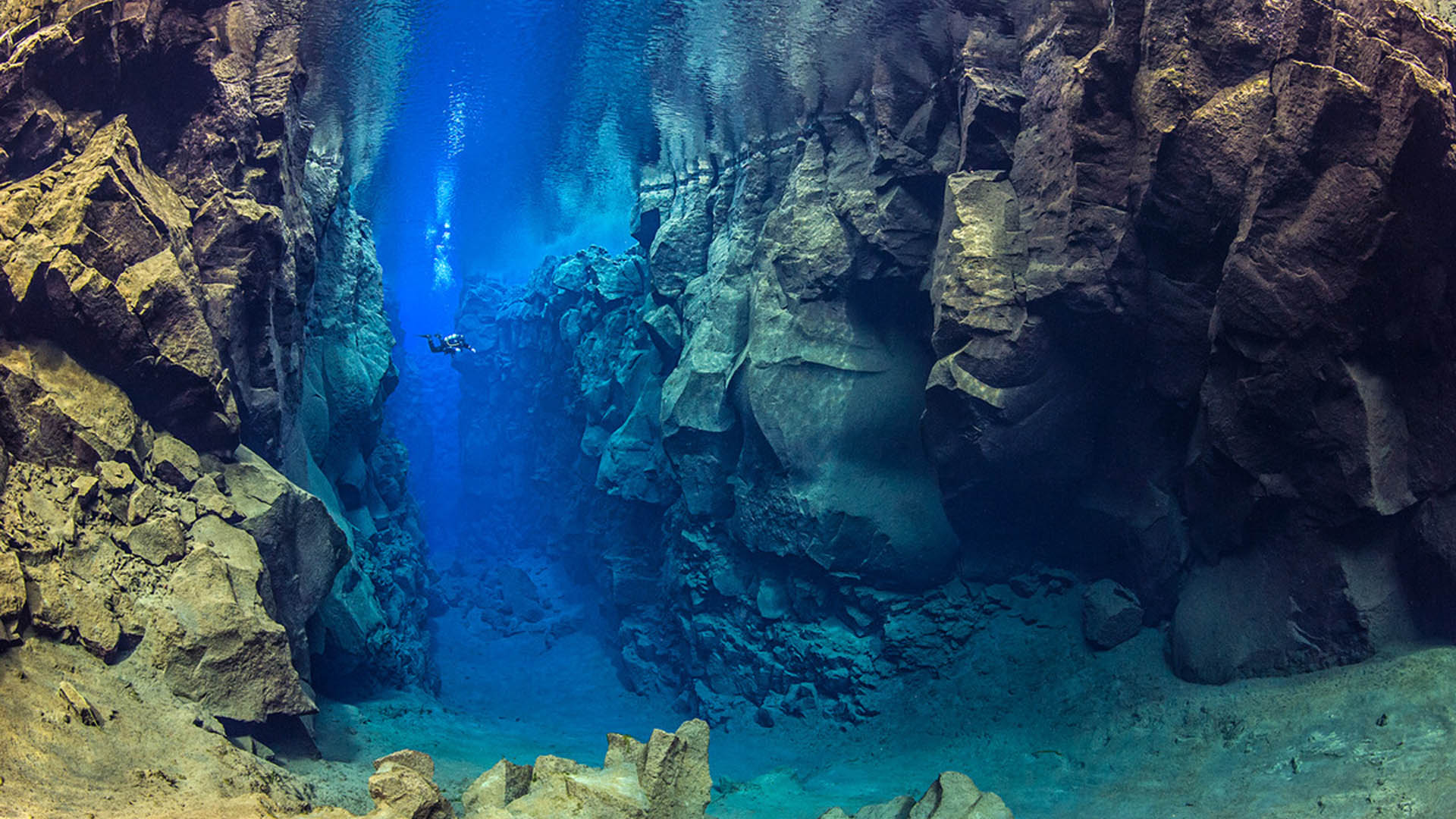 Silfra Diving Thingvellir National Park Iceland Alex Mustard Big