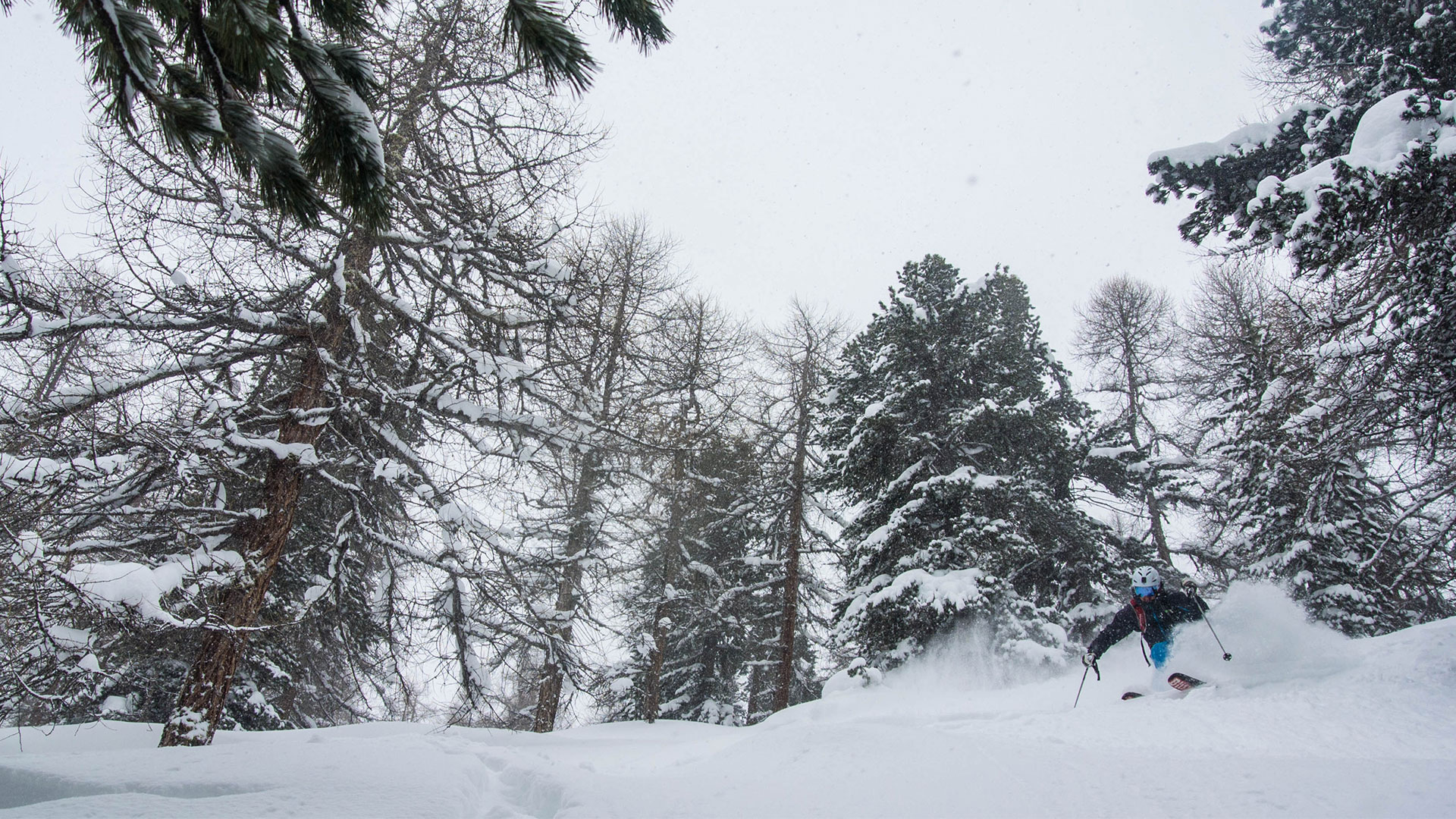 best-skis-for-powder-jordan-tiernan