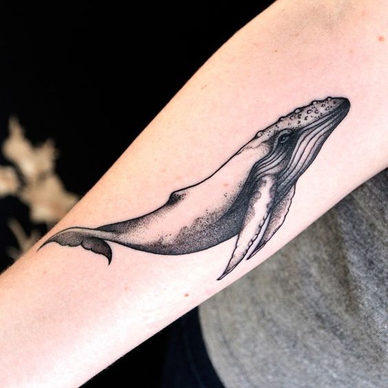 Sea life and wildlife it's one of the favorites dave loves to do, nice  thigh piece just done! #sealifetattoo#wildlifetattoo#seacreature... |  Instagram