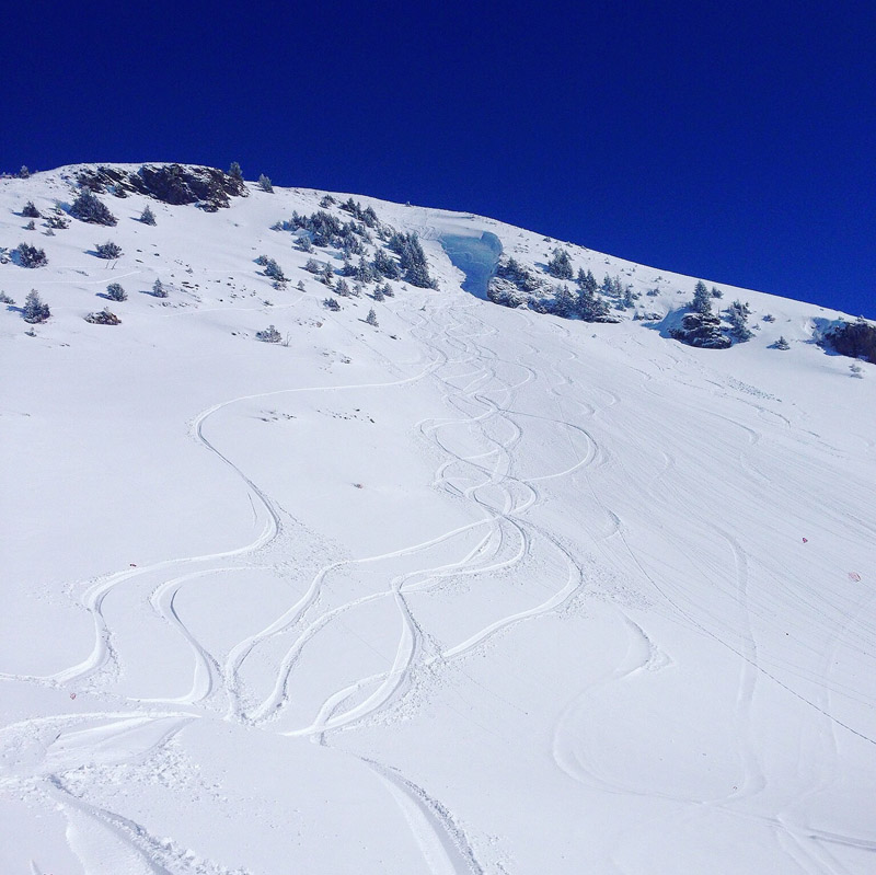 Snowboarding Off Piste Mint Snowboarding Backcountry France Champoussin Tracks