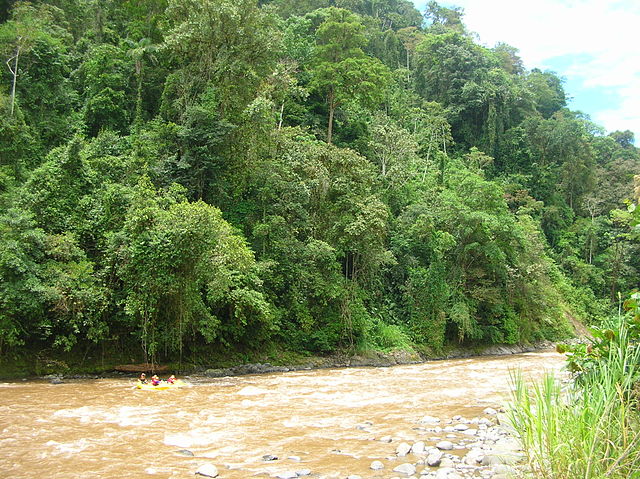 The river Pacuare, Costa Rica - White water rafting holidays