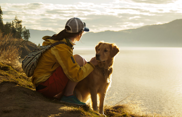 Adventure-Dog-Breed-Outdoors.