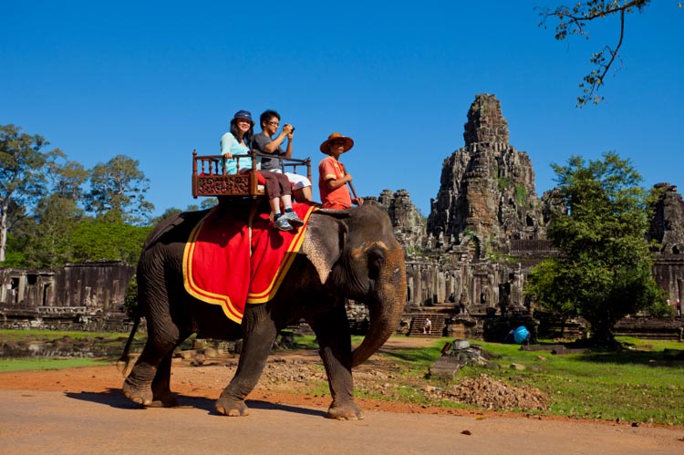 Elephant Ride Vietnam Asia Tourism