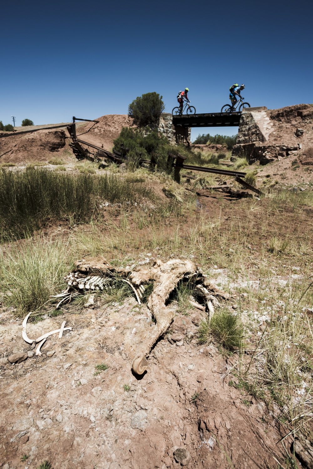 Mountain Biking in Argentina by Dan MilnerMilner_ARG0140384