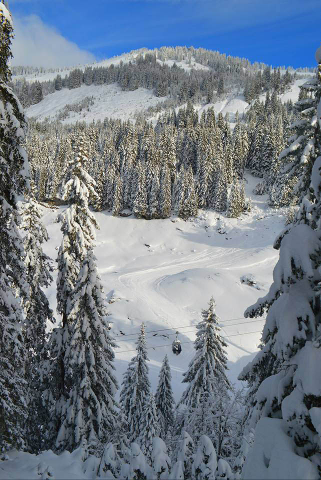 Powder Snow Morzine Avoriaz Linderets France