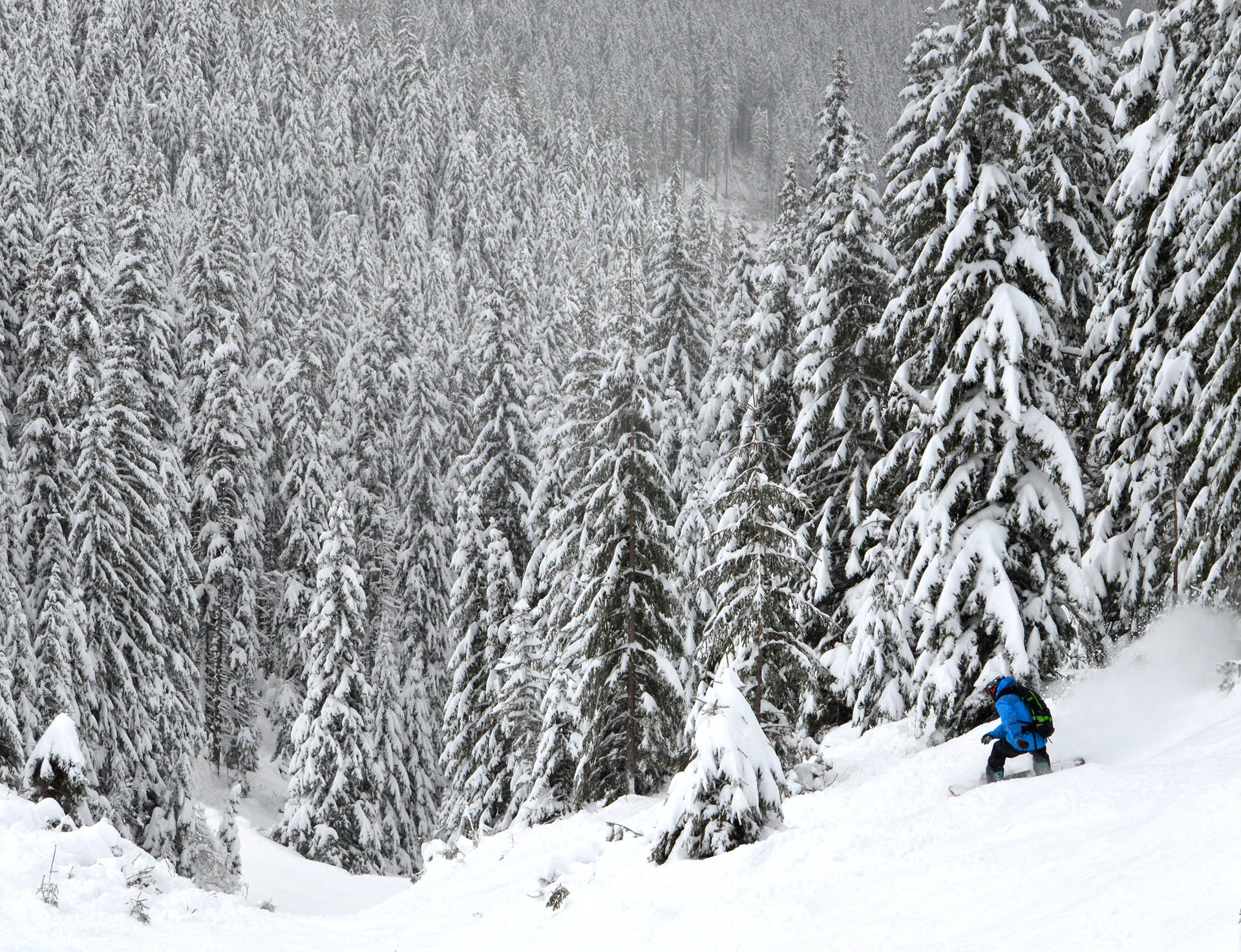 Snowboarding Jasna Slovakia Powder 8