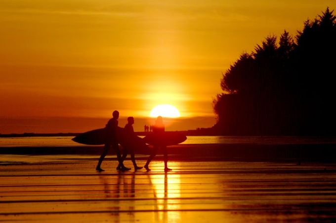 Credit: iStock/Tofino