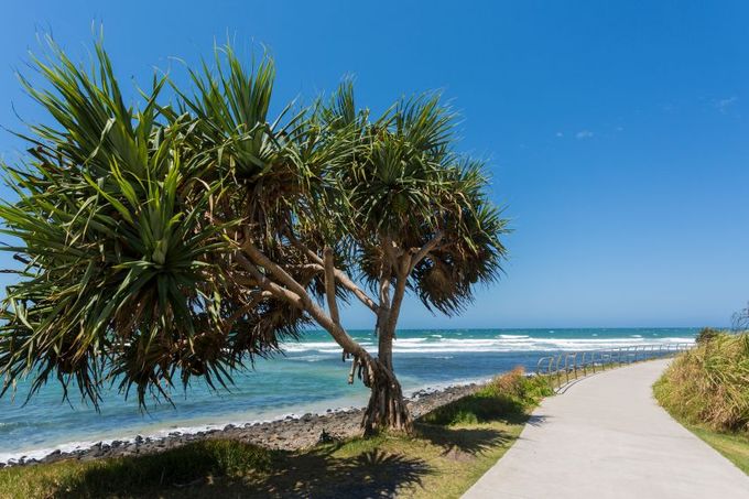 Credit: iStock/Lennox Head