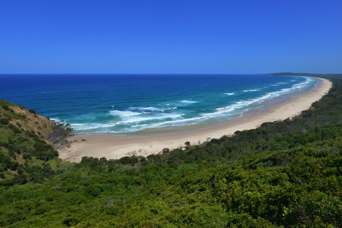 Credit: iStock/Byron Bay