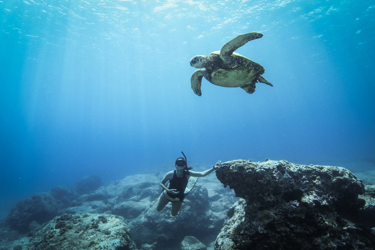 Meet The Hawaiian Spearfisher Who Swims With Great W