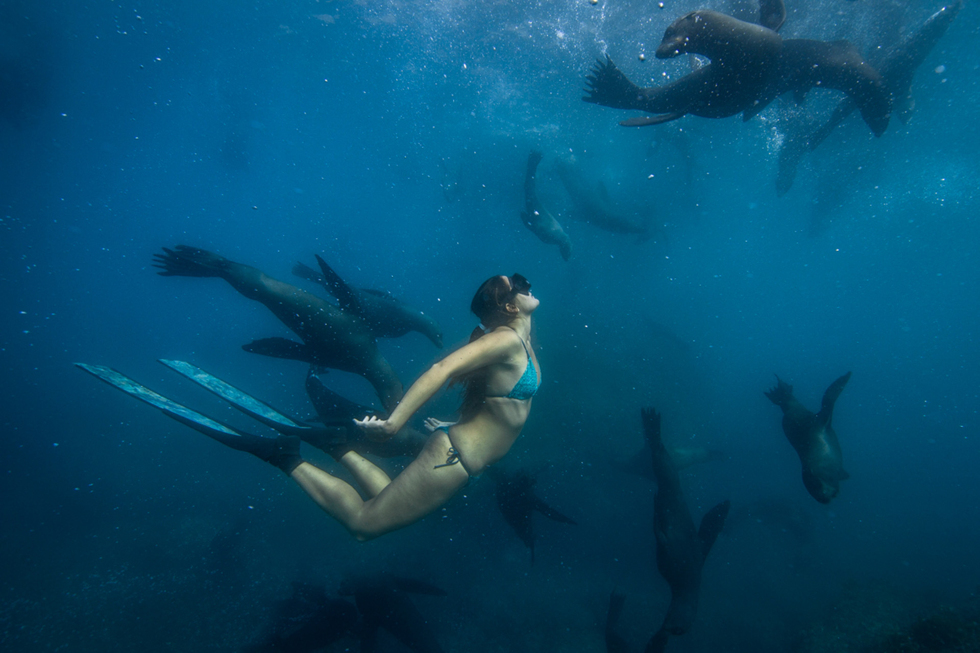 Meet The Hawaiian Spearfisher Who Swims With Great W