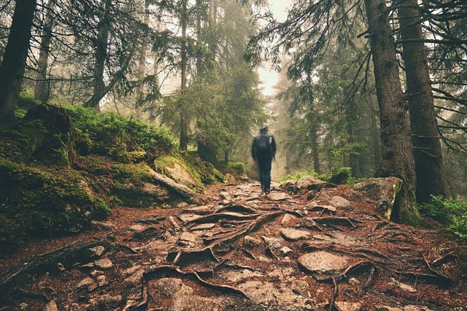 Traveler hiking through deep forest in the mountains - blurred motion