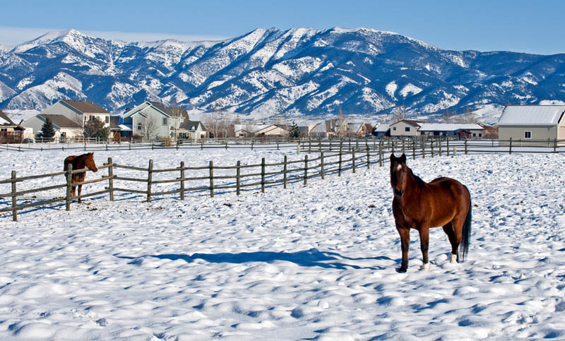 Cheapest-Ski-Resort-Holiday-World-Bridger-Bowl-Bozeman-Montana.jpg