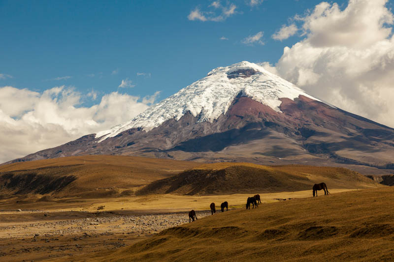 Mountaineering-Holiday-World-Guide-Expeditions-Cotopaxi-Ecuador-South-America.jpg