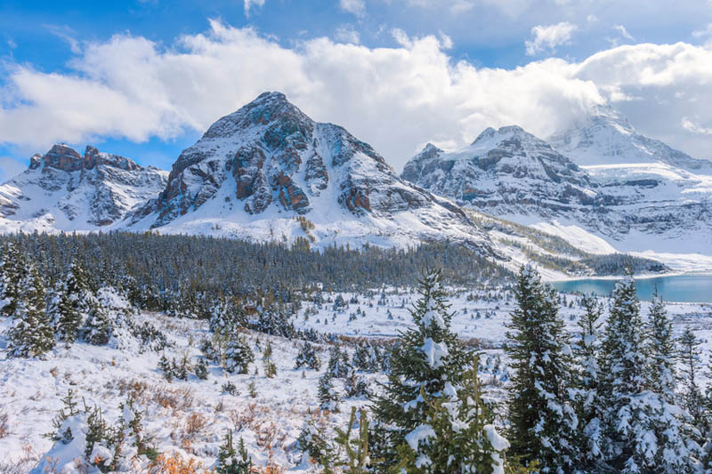 Best-Ski-Resort-Families-Jasper-Marmot-Basin-Canada-Family.jpg