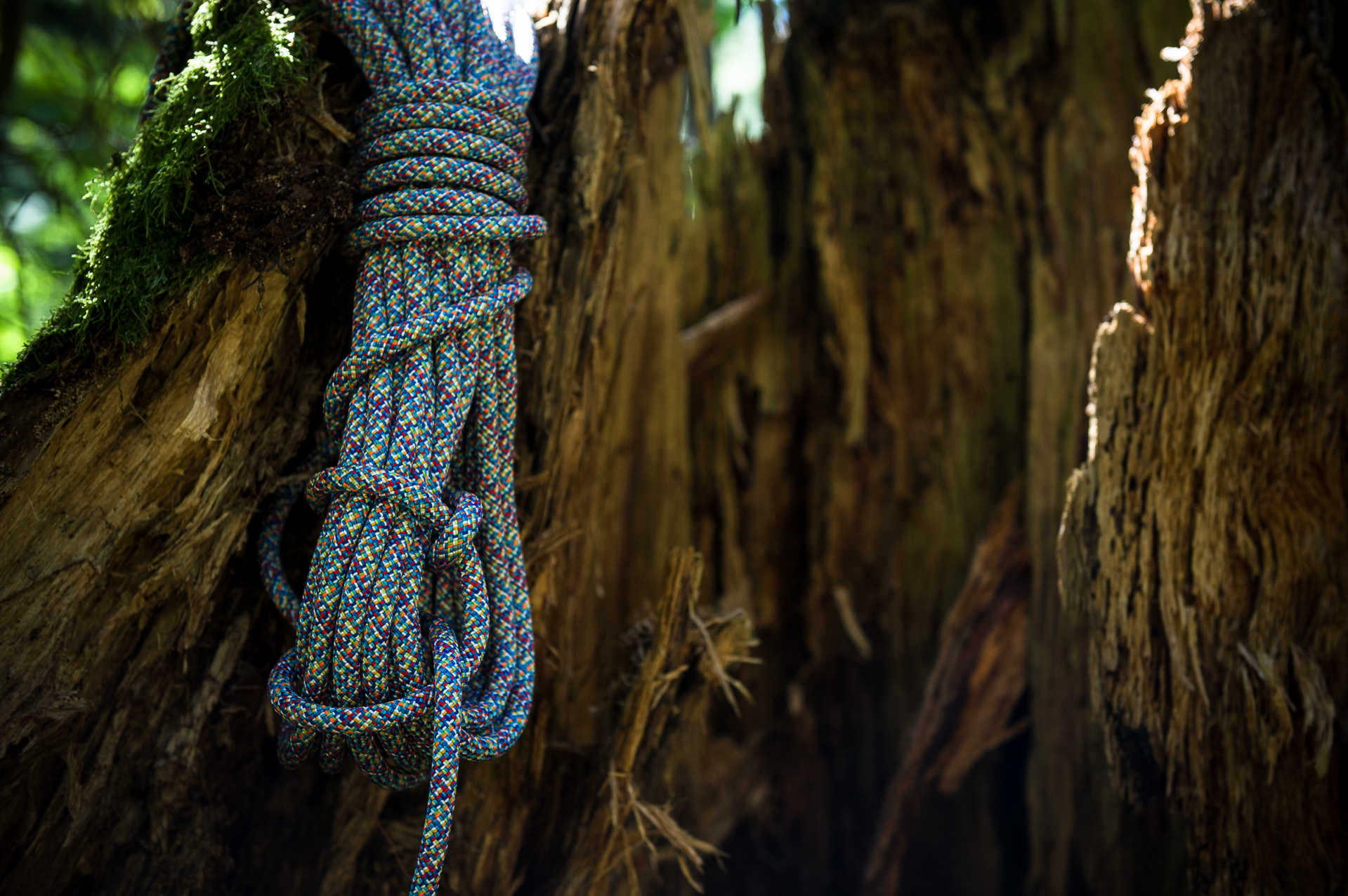 Edelrid Parrot 9.8mm Climbing Rope Review - Mpora