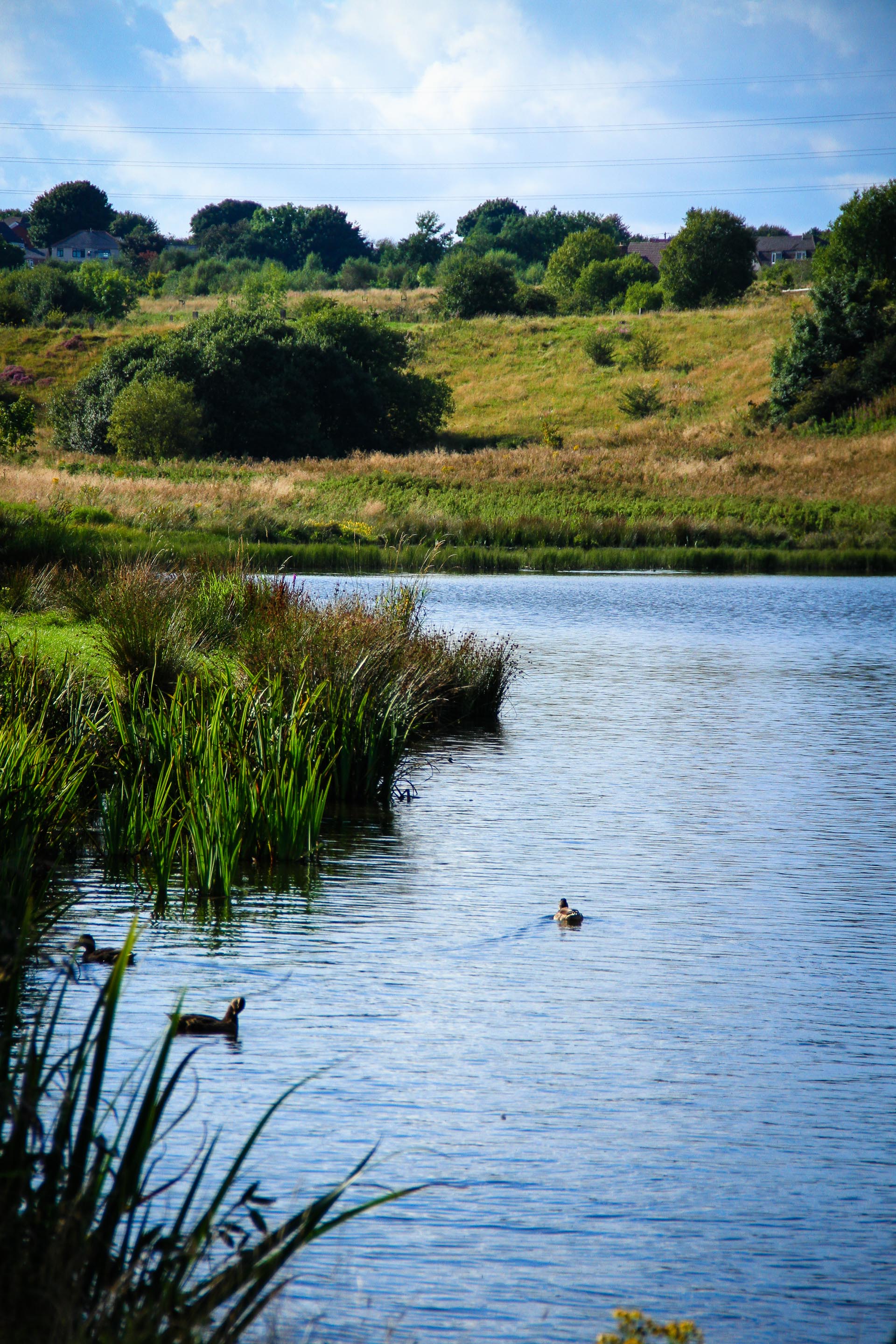 cycle-touring-in-wales-sustrans-tour-img_4465