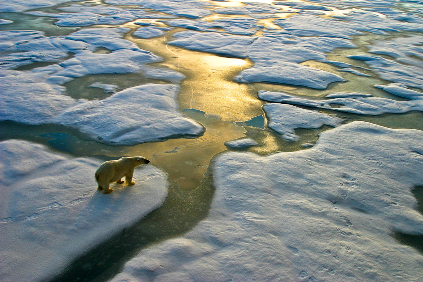 6 Terrifying Facts About Climate Change You Need to Hear