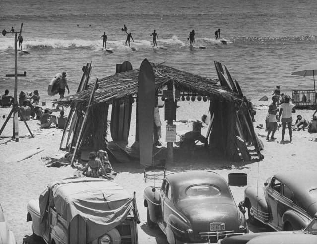 surf5beach-bums-san-onofre-calif-1950-1